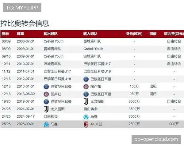 AC米兰900万欧元签下拉比奥特，转会市场捡漏